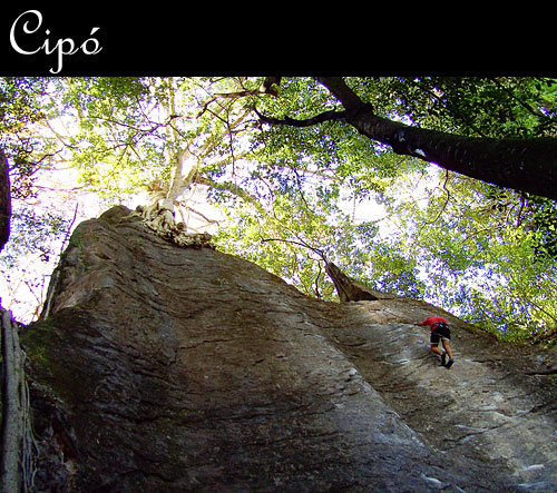 Lu Goma da "Johnny Quest", 6c